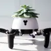 Purchase this Small Robot & It Will Help You Keep Your Plants Alive: Here’s How