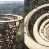 Spiral Path in the Middle of a Danish Forest Lets You Walk among the Treetops