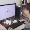 This Japanese Company Encourages Employees to Bring their Cats to Work to Fight Off Stress & Tiredness