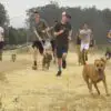 A High School Running Team Takes Shelter Dogs for an Exciting Morning Run: Dogs Are Enjoying It
