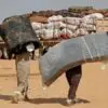 Can Old Mattresses Really Solve the Ongoing Issue of World Hunger? How?