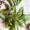 Don’t Miss Out on Sage, a Wonderful Herb: Here Are Its 6 Best Health Benefits
