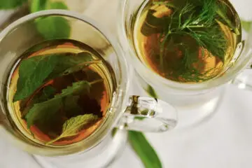 Drink more Nettle Tea to Boost the Vitamins & Minerals in Your Body. Alleviate Pain & Reduce Inflammation