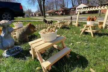 Man Uses Quarantine Time Creatively & Builds a Tiny Restaurant for Animals in His Yard
