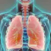 Detoxify Your Lungs: 8 Must-Do Strategies To Heal Your Respiratory Problems