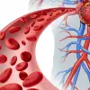 10 Warning Signs Of Poor Blood Circulation That You May Have Ignored