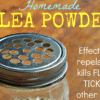 Homemade Flea Powder- Flea, Tick, Ant, Mites, Fly, Mosquito And Other Insect Repellent