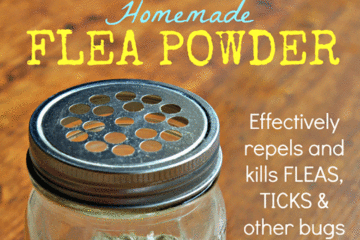 Homemade Flea Powder- Flea, Tick, Ant, Mites, Fly, Mosquito And Other Insect Repellent