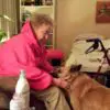 Hospice Program Helps Terminal Patients Keep Their Pets So They Be with Them Until The End