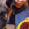 Dog “Cries” after Sadistic Owner Forces Him to Eat a Bowl of Hot Chili Peppers for Amusement
