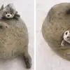 Adorable Seal Can’t Stop Cuddling a Plush Toy that’s Its Mini-Me