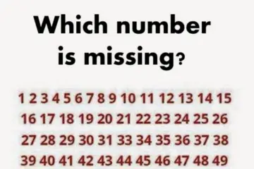 Can YOU Spot the Missing Number in this Viral Puzzle?