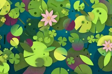 Can You Spot the Turtle among the Lily Pads?