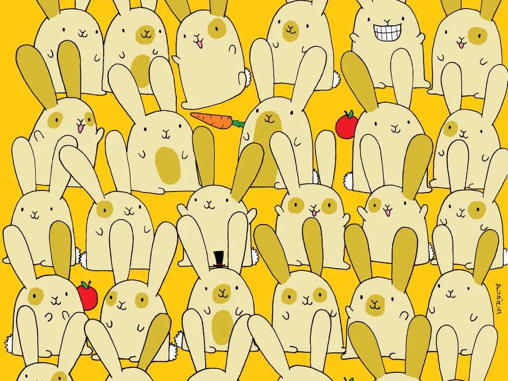 can-you-find-the-bunny-without-a-pair-in-this-viral-puzzle