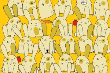 Can You Find the Bunny without a Pair in this Viral Puzzle?