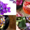 10 Great Edible Flowers: Flavor Your Food & Improve Your Health