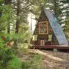 This Cute-as-a-Button Cabin Costs only $700 to be Built