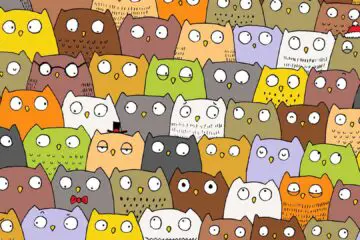 Can You Find the Cat Hiding among these Owls?!
