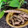 How to Grow one of the Healthiest Spices, Turmeric, in Pots at Home