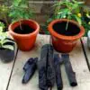 Impressive Uses of Charcoal for a Lush Garden