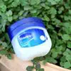 Gardening Hacks: 6 Awesome Uses of Vaseline in the Garden