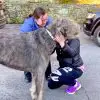 Heartwarming Video: Girl Can’t Stop Tears when She Sees the Dog She Thought She Lost
