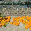 This How Seville in Spain Is Using Leftover Oranges to Produce Electricity