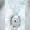 Snow-Obsessed Doggo Finds an Awesome Snow Cave & ‘Moves in’
