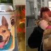 Woman from Minnesota Reunites with Her Lost Dog after He Was Featured on Beer Ad