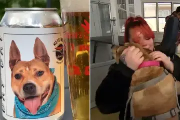 Woman from Minnesota Reunites with Her Lost Dog after He Was Featured on Beer Ad
