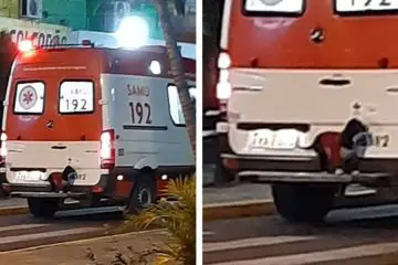 Faithful Dog Jumps on the Ambulance to Be with Her Owner as He’s Driven to the Hospital