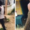 Man Spotted casually Walking down a Street with His Arms Covered in Bees
