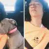 Pittie Puppy Sneaks in for the Cutest Nap with His Sister after a Long Day at the Beach