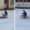 Boy Takes Out His Dog for the Sweetest Sled Ride ever
