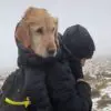 Brave Hikers Face Miles of Icy Mountain Trails to Bring Back Home a Stranded Dog