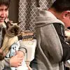 Boy Can’t Contain Tears when He Reunites with His Lost Cat