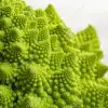 Romanesco Broccoli Doesn’t just Look Cool, but It’s a Nutritional Powerhouse