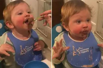 Excitement Level 100: Watch this Baby Trying Chocolate for the First Time