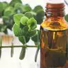 5 Amazing Essential Oils to Alleviate Arthritis