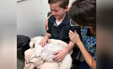 Adopted Boy Tells His Mom that He Wants to Hold their Dying Dog as She ‘Goes to Heaven’