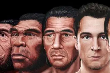 Evolution Hasn’t Stopped: this Is what the Human Face might Look like in the Future