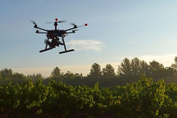 How the Drone Seed Is Helping Replant Forests after Massive Fires 6X Faster