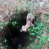 Wonderful Hiker Rescues a Dog Trapped in a Floridian Cave
