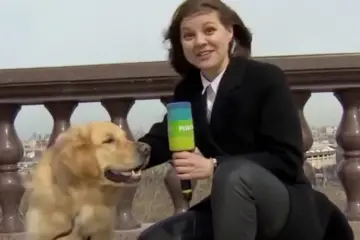 “Naughty” Dog Snatched the Microphone of a Reporter’s Hand on Live TV