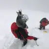 Adventurous Goat Stuck on a Snowy Mountain Was so Happy to See Her Rescuers