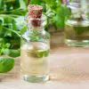 Marjoram Essential Oil: How It Betters Your Digestion & Heart Health