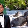Leonardo DiCaprio Announces a $43 Million Pledge to Save the Galapagos Islands