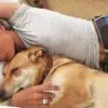 Science Shows: Women Sleep Better Next to Dogs than Men