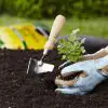 Gardening just twice a Week Improves Wellbeing & Reduces Stress, Finds New Study