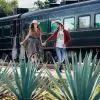 Travel through Mexico on an All-You-Can-Drink Luxury Tequila Train